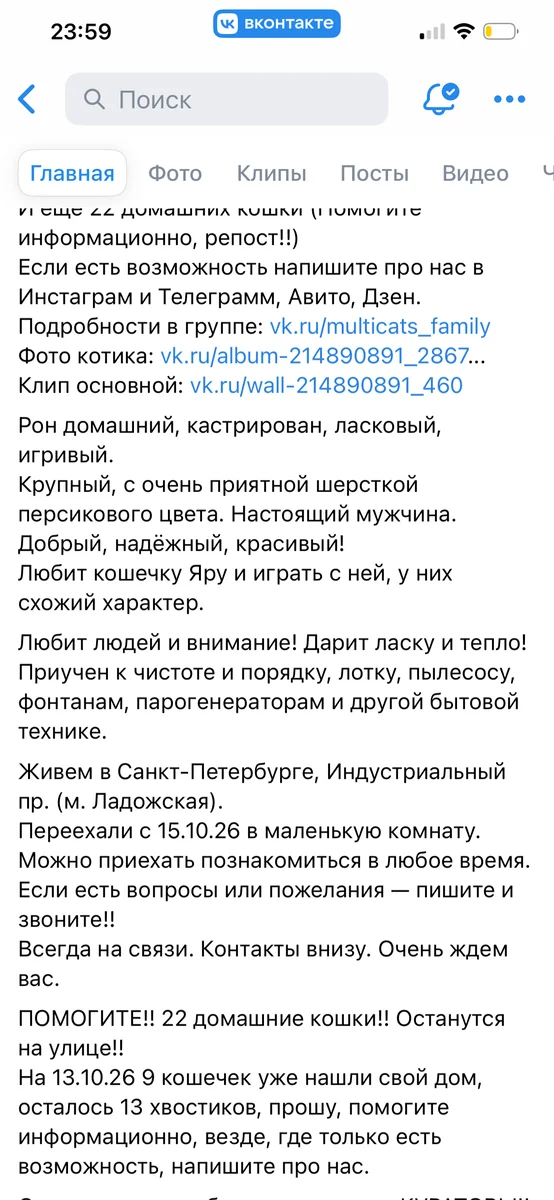 здесь контакт хозяина приюта