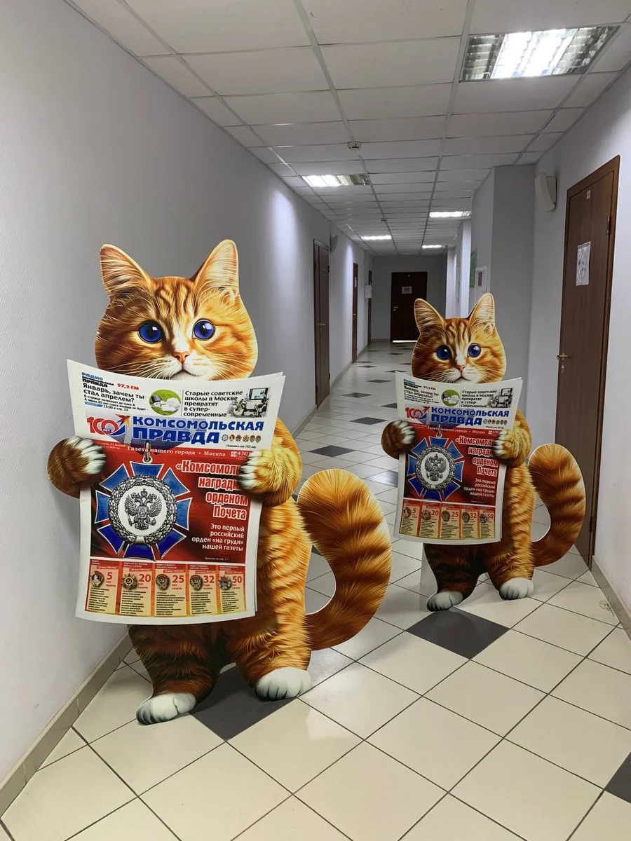 Картонные фигуры котов в полный рост для промо-акции, заказ ростовых фигур тиражом