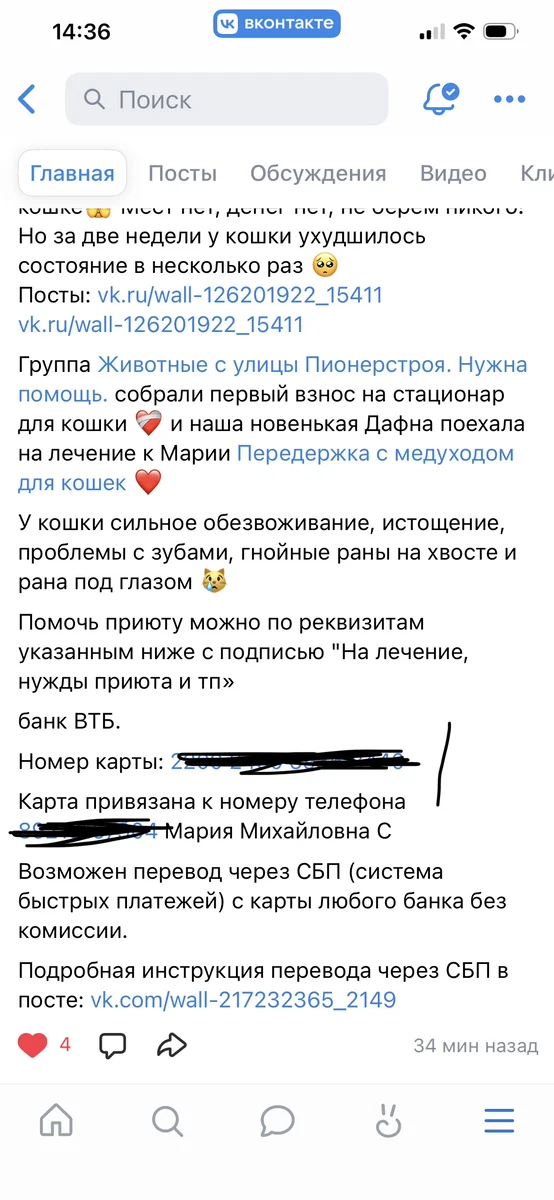 срочно помощь кошечке — фото 9